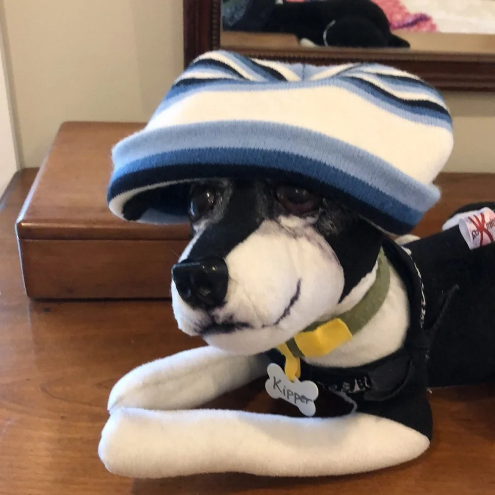 Winter Ski Snow Beanie Blues, Black, White